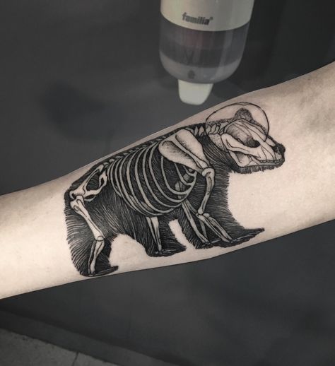 Bear skeleton by Daniel rozo tattoo , tatuaje blackwork Bear Skeleton Tattoo, Animal Skeleton Tattoo, Bear Skeleton, Anatomy Tattoo, Filler Tattoo, Bear Skull, Skeleton Tattoo, Bone Tattoos, Animal Skeletons