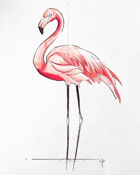 Flamingo Illustration Art, Flamingo Art Drawing, Flamingo Bird Drawing, Flamingo Sketch Drawings, Simple Flamingo Drawing, How To Draw A Flamingo, Drawings Of Flamingos, Flamingo Drawing Pencil, Easy Flamingo Drawing