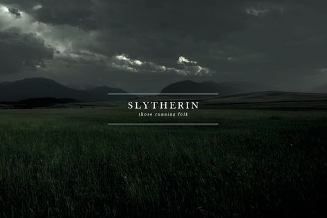 Slytherin Wallpaper, Slytherin Pride, Slytherin House, Dark Green Aesthetic, Harry Potter Houses, Hogwarts Aesthetic, Slytherin Aesthetic, House In Nature, Harry Potter Wallpaper