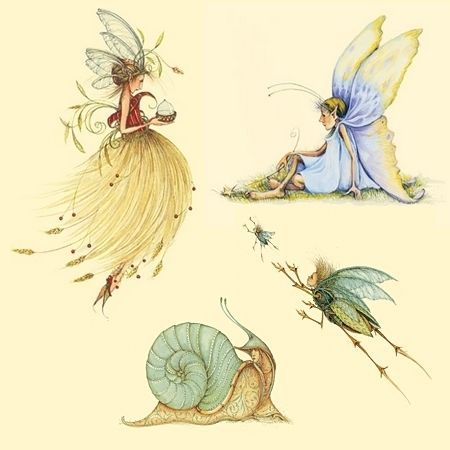 Patience Brewster illustrations    <3 Patience Brewster, Fairy Paintings, Fairy Drawings, Fairy Illustration, Fairy Dragon, Fairy Pictures, Fairy Artwork, Love Fairy, Fairy Magic