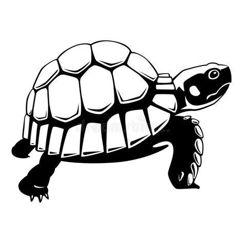 Graphic black turtle on white background, vector vector illustration Turtle Clipart Black And White, Box Turtle Drawing, Turtle Black And White, Drawing Of A Turtle, Turtle Vector, Turtle Artwork, Turtle Cartoon, Rs Logo, Cartoon Turtle