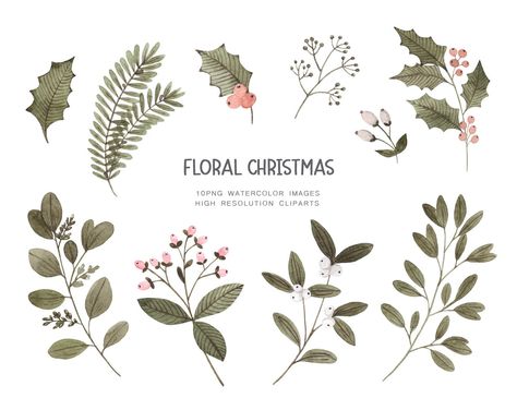 Holly Clipart, Mistletoe Clipart, Christmas Plants, Floral Christmas, Floral Png, Clipart Christmas, Floral Clipart, Gift Tag Cards, Watercolor Images