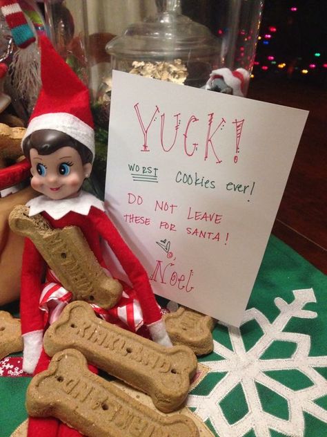 Worst cookies ever dog treats Elf on The Shelf Dog Treat Elf On The Shelf, Elf Dog Treats, Elf On The Shelf Dog Food, Elf On The Shelf Ideas For Dogs, Elf With Dog Ideas, Elf With Cookies, Elf On The Shelf Dog Treats, Elf On The Shelf Make Cookies, Elf On The Shelf With Cookies