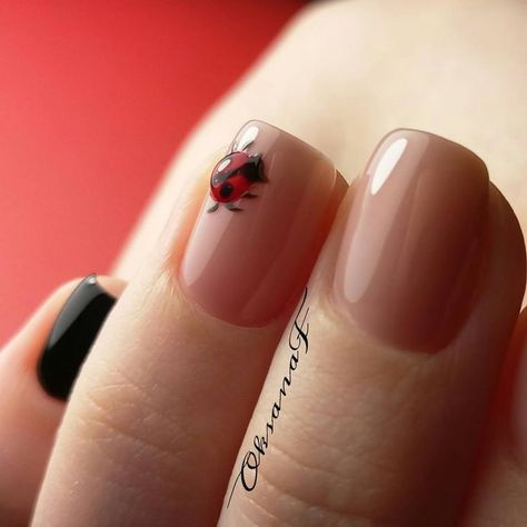 Acrygel Nails, Ladybug Nails, Nails Art Designs, Manicure Nails, Simple Nail Art Designs, Simple Nail, Nails Manicure, Prom Nails, Cute Nail Designs