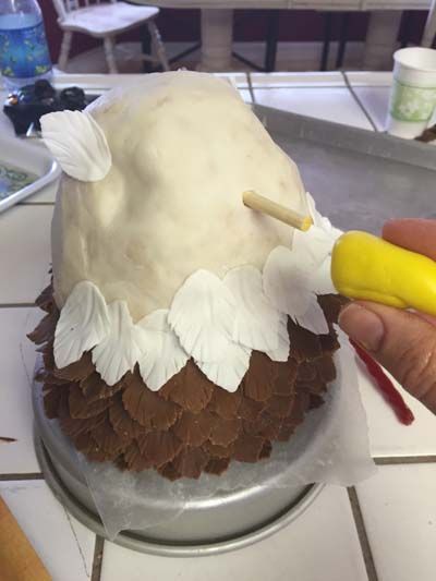 Eagle Cake Bald Eagle Cake Ideas, Eagle Birthday Cake, Eagle Cake Ideas, Eagles Party, Bird Cupcakes, Eagle Scout Cake, Sugar Dough, Vbs 2023, Cupcakes Ideas