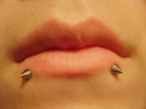 snakebites Madonna Piercing, Piercing Face, Piercings Bonitos, Piercing Girl, Snake Bite Piercing, Spider Bite Piercing, Piercing Labret, Snake Bite, Snakebites