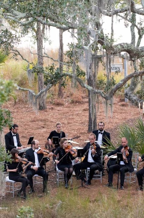 Helpful article about ceremony musicians Wedding Music Band, Wedding Ceremony Music, Violin Cello, Wedding Musicians, Wedding Photography Styles, Ceremony Music, Future Wedding Plans, Outdoor Venues, Tuscany Wedding