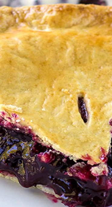 Concord Grape Pie Recipe, Grape Puree Recipes, Grape Pie, Turnover Recipes, Good Pie, Berries Recipes, Pureed Food Recipes, Perfect Pies, Delicious Pies