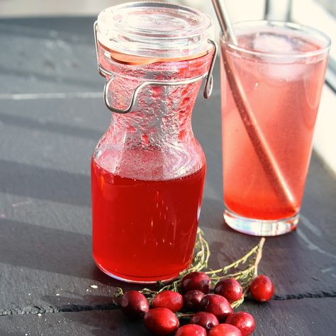 Cranberry Shrub Cranberry Shrub, Homemade Blueberry Syrup, Blueberry Simple Syrup, Shrub Recipe, Drinking Vinegar, Simple Syrup Recipes, Blueberry Syrup, Condiment Recipes, Vinaigrette Recipes