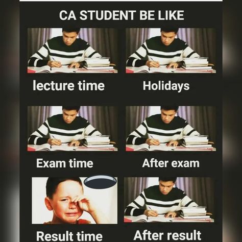 Chartered Accountant Funny Memes, Commerce Jokes, Accountant Wallpaper, Charted Accountant Wallpaper, Charted Accountant, Study Inspiration Quotes, Accounting Humor, Exam Time, Exam Motivation