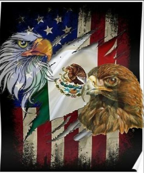 Mexican And American Flag Tattoo, Mexican Flag Wallpaper Iphone, Mexican American Flag Wallpaper, Mexico Eagle, Eagle Mexican Flag, Mexican American Flag, Cool American Flag, Mexico And Usa Flag Combined, Mexican Eagle