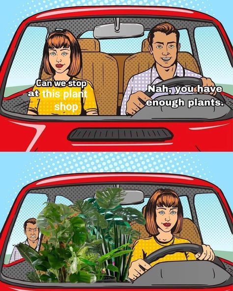 Plant Jokes, Bye Felicia, Plant Parent, Plants Are Friends, Happy Hippie, Diy Backyard Landscaping, Bedroom Plants, Plant Aesthetic, Creative Gardening