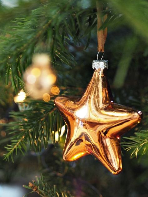 Christmas Decorations Photography, Winter Reference Photo, Christmas Reference Photo, Christmas Ornament Photography, Christmas Reference Drawing, Christmas Gold Decorations, Christmas Decor Photography, Christmas Ornaments Illustration, Christmas Reference