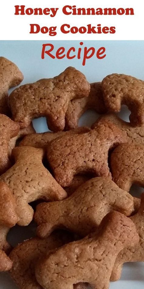 Dog Cookie Recipes, Homemade Dog Cookies, Soft Dog Treats, Pet Treats Recipes, Dog Treats Homemade Easy, Easy Dog Treat Recipes, Puppy Sketch, Frozen Dog Treats, Colorful Hairstyles