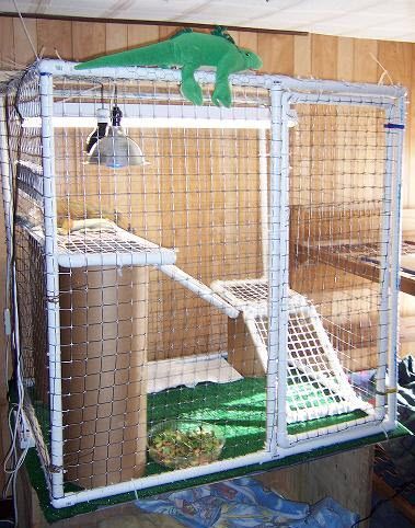 DIY Square PVC Cage - petdiys.com Iguana Enclosure, Lizard Cage, Iguana Cage, Iguana Pet, Diy Cat Enclosure, Diy Reptile, Bearded Dragon Cage, Ferret Cage, Bearded Dragon Care