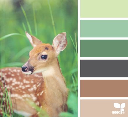 This is the color of my ucky bathroom! So I can get a forest theme to make it pretty ! Fawn Color, Seeds Color, Palette Design, Color Palate, Design Seeds, Lounge Decor, Baby Deer, Colour Board, Color Stories