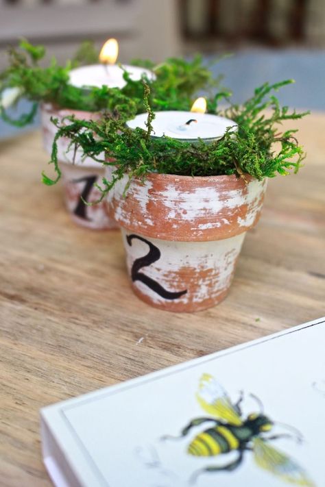 Citronella Candles in Mini Terra Cotta Clay Pots. Mini terra cotta pots, distressed and numbered in French script. Diy Citronella Candles Mason Jars, Mason Jar Citronella Candles, Mini Clay Pots, Cozy Candlelight, Small Clay Pot, Homemade Chalk, Terra Cotta Clay Pots, Mini Clay, Summer Diy Projects