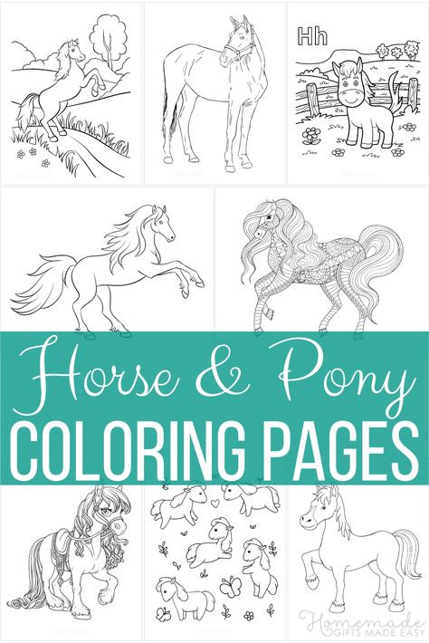 Elsa Horse, Summer Coloring Sheets, Zoo Animal Coloring Pages, Number Search, Raptor Dinosaur, New Year Coloring Pages, Spirit Horse, Family Coloring Pages, Free Printable Coloring Sheets