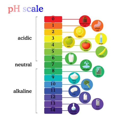 What is Lye? Can I Make Soap Without it? - Oh, The Things We'll Make! Ph Value Chart, Litmus Paper, Ph Scale, Water Electrolysis, Chemistry For Kids, Make Soap, Flat Vector Illustration, Paper Color, Skin Care Brands