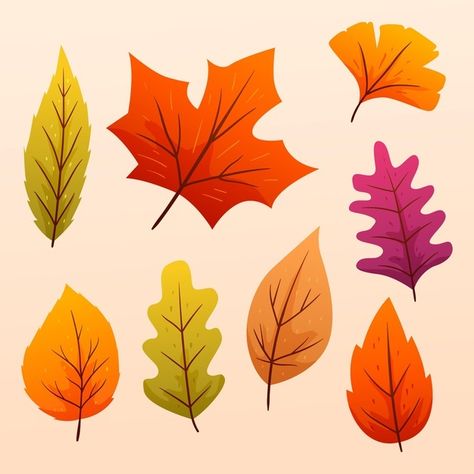 Autumn Leaf Clipart, Fall Leaves Clip Art, Autumn Leaf Drawing, Thanksgiving Doodles, Bohemian Drawing, Fall Leaves Art, Colours Pictures, Fall Leaves Clipart, Fall Leaves Drawing