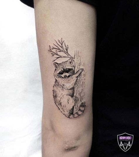 Raccoon In Tree Tattoo, Fine Line Raccoon Tattoo, Weird Tattoos Creative, Traditional Raccoon Tattoo, Raccoon Tattoo Design, Cute Raccoon Tattoo, Small Raccoon Tattoo, Nature Animal Tattoo, Forest Animal Tattoo