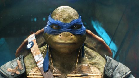 Netflix has finally released its initial trailer for the movie of Rise of Teenage Mutant Ninja Turtles: The… The post Netflix Releases The Teenage Mutant Ninja Turtles: The Movie First Trailer appeared first on Animated Times. Tmnt Movie 2016, Leonardo Turtle, Ninja Turtles 2014, Leonardo Ninja Turtle, Turtle Images, Ninja Turtles Movie, Tmnt Movie, Tmnt Leo, Leonardo Tmnt