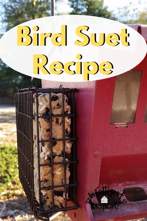 Easy Homemade Bird Suet Recipe Bird Suet Recipes, Homemade Bird Suet, Diy Nature Crafts, Suet Recipe, Seed Ornaments, Bird Suet, Suet Cakes, Bird Seed Ornaments, Suet Feeder