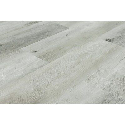 Montserrat Omnia 9.49" x 60.51" x 7mm SPC Luxury Vinyl Plank | Wayfair Best Vinyl Flooring, Spc Flooring, Shaw Flooring, Armstrong Flooring, Sound Absorption, Reclaimed Timber, Vinyl Tiles, Luxury Vinyl Tile, Luxury Vinyl Plank