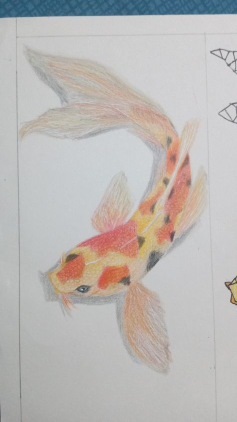 Koi Fish Drawing Colored Pencil, Pencil Colour Drawing, Koi Fish Colors, Koi Fish Drawing, Colour Drawing, Fish Drawing, Realistic Pencil Drawings, Crayon Drawings, Fish Drawings