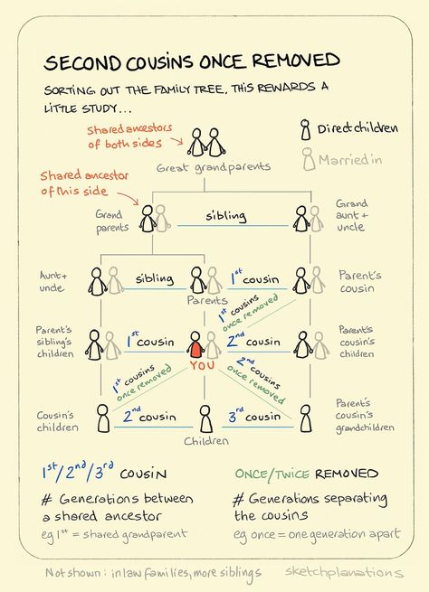 Cousin Chart, Relationship Chart, Genealogy Help, Morning Juice, Second Cousin, Systems Thinking, Family Relations, Intrinsic Motivation, Sketch Notes