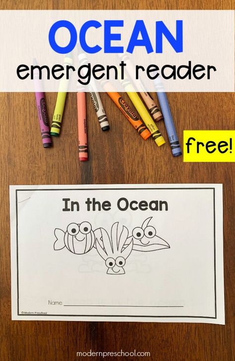 Ocean Books Preschool, Marine Life Preschool Activities, Ocean Reading, Preschool Ocean, Ocean Names, Ocean Books, Ocean Theme Preschool, Summer Themes, Ocean Theme Classroom