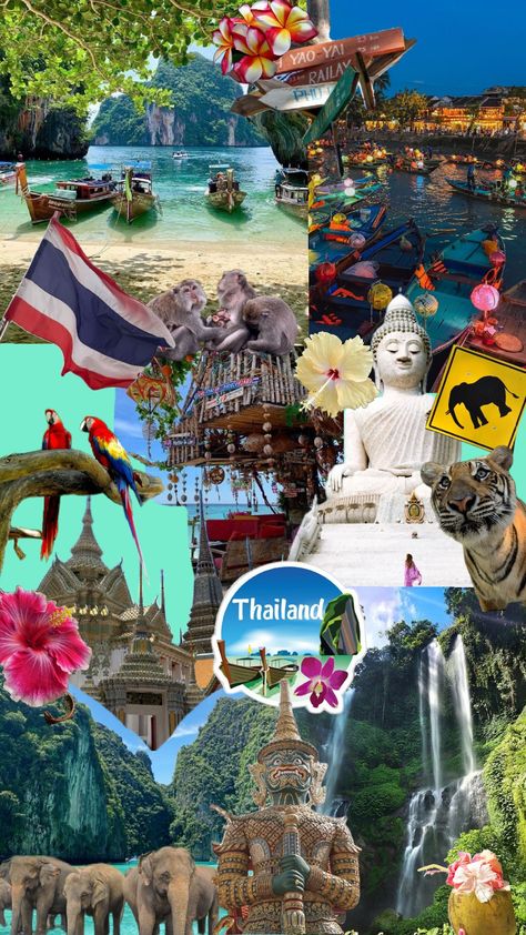 Thailand Travel Brochure, Thailand Aesthetic Photography, Thailand Mood Board, Thailand Vision Board, Thailand Trip Aesthetic, Thai Language Aesthetic, Thai Wallpaper Aesthetic, Thailand Wallpaper Aesthetic, Thailand Aesthetic Wallpaper