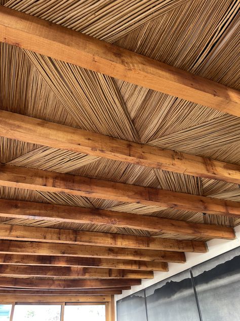 Bamboo Ceiling Restaurant, Bamboo Ceiling Ideas, Rustic Ceiling Design, Straw Ceiling, Live Roof, Boho Ceiling, Architecture Ceiling, Rattan Ceiling, Interior Design Sketchbook