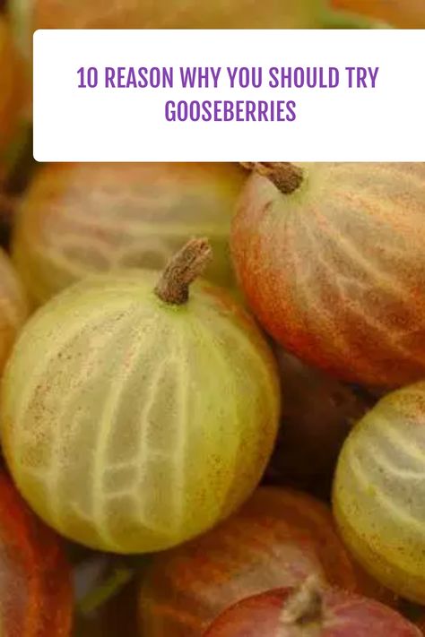 Gooseberry bushes produce edible fruit. They taste sweet when ripe. Adding these berries to a fruit salad with a little whipped cream or eating them by the Gooseberry Plant, Gooseberry Jam, Gooseberry Bush, Fresh Summer Salad, A Fruit, Fruit Garden, Reason Why, Chutney, Fruit Salad