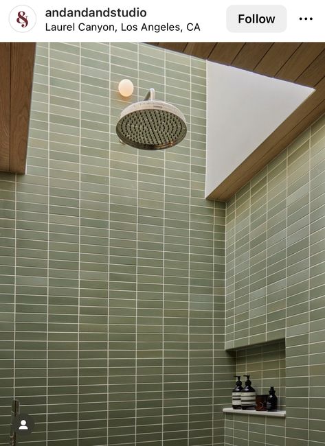 Skylight Bathroom, Bathroom Large, Lush Plants, Studio Architecture, Terrazzo Floors, Tile Wood, Primary Bathroom, Studios Architecture, Tiled Shower