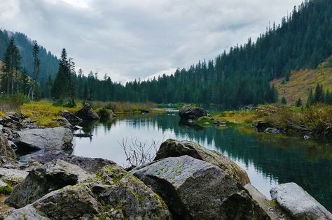 Take an Easy Day Hike to Heather Lake Washington Hikes, Travel Van, Easy Day, Olympic National Park, Outdoor Lover, Day Hike, A Workout, The Trail, America Travel