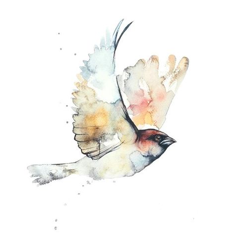 Watercolor Art Birds, Watercolor Sparrow, Sparrow Watercolor, Flying Sparrow, Sparrow Drawing, Monochromatic Watercolor, Watercolour Birds, Watercolor Bird Tattoo, Bird Artists