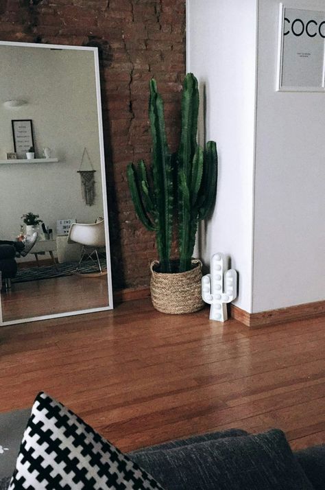 Cactus Living Room Decor, Cactus Interior Design, Desk Wall Art, Traditional Home Decor Ideas, Indoor Plants Apartments, Moda Hippie Chic, Indoor Cactus Plants, 25 Beautiful Homes, Boho Entryway