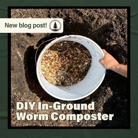 DIY in-ground bucket vermicomposters are one of the easiest ways to vermicompost outdoors while boosting the fertility of your soils!  Get easy, step-by-step instructions on building, starting, and maintaining your DIY In-Ground Worm Composter.  #DIY #InGroundWormComposting #SoilFertility #RedWigglers #Vermicomposting Composter Diy, Wood Chip Mulch, Red Wigglers, Red Worms, Worm Composting, Plant Roots, Veggie Garden, Mulch, Easy Step