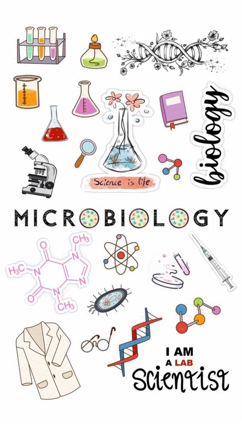 Aesthetic Boarders Designs, Pharmacy Art, Biology Humor, Biology Projects, Medical Stickers, Book Cover Page, Bond Paper Design, Science Stickers, Biology Art