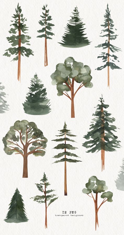 Painted Pine Trees On The Wall, Tree Painting Easy Simple, Wedding Invitation Logo, Tree Clipart Png, Country Watercolor, Evergreen Wedding, Tree Watercolor Painting, Tree Clipart, Winter Watercolor