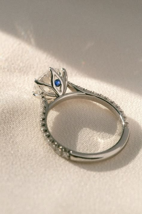 Round Platinum 6 Prong Tulip on Cathedral French Pave with Sapphire Peek A Boo Wedding Ring Upgrade, Bonnie Jewelry, Low Profile Engagement Rings, Moonstone Engagement Ring Rose Gold, Cathedral Engagement Ring, Ring Upgrade, Cathedral Ring, Cathedral Engagement Rings, Prong Engagement Rings