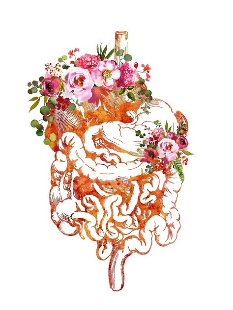 Digestive System Aesthetic, System Aesthetic, Floral Anatomy, Brain Poster, Medical Artwork, Medicine Art, Medical Drawings, Medical Office Decor, Human Body Art