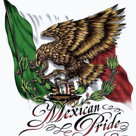 Puerto Rican Artwork, Mexican American Culture, Mexico Tattoo, Mexico Wallpaper, Mexican Pride, Bruce Lee Art, Cool Hand Luke, Eagle Drawing, Pride Png