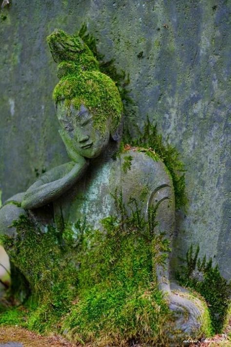 Image Zen, Arte Yoga, Buddha Garden, Moss Covered, Buddha Zen, Buddha Painting, Surrealism Painting, Love Garden, Buddha Art