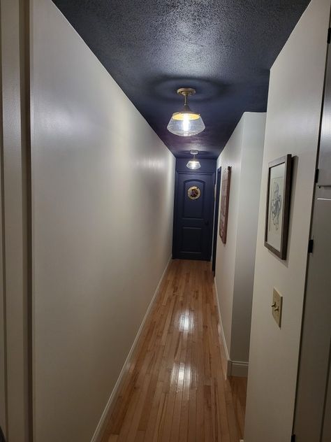 Hale navy ceiling and door white walls Dove White Walls, Glam Hallway, Navy Ceiling, Moody Hallway, Dove White, Hale Navy, Door White, Worcester, White Walls