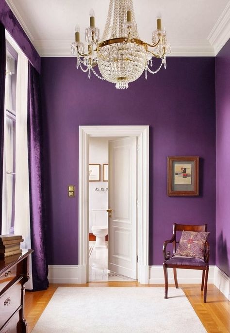 PANTONE Color of the Year 2014 - Radiant Orchid decor - might be fun in my laundry room! Deco Violet, Bold Decor, Purple Interior, Purple Rooms, Purple Decor, Purple Home, Radiant Orchid, Purple Walls, Maximalism