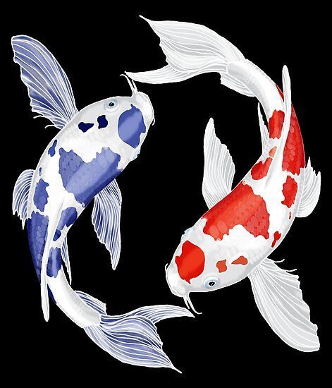 Koi Yin Yang, Koi Fish Yin Yang, Blue Koi Fish, Yin Yang Koi Fish, Karp Koi, Yin Yang Koi, Koi Painting, Koi Fish Drawing, Blue Koi