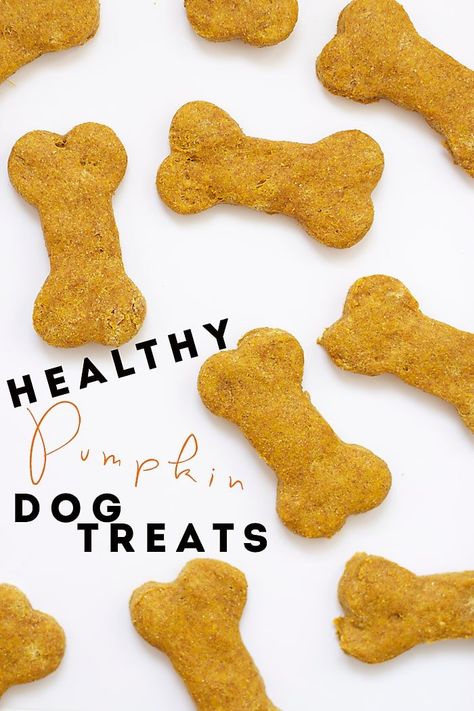 Dog Cookies Recipe Pumpkin, Pumpkin Dog Biscuits, Dog Cookie Recipes, Homemade Dog Cookies, Easy Dog Treat Recipes, Coconut Oil For Dogs, Dog Biscuit Recipes, Easy Dog Treats, Recipe Pumpkin