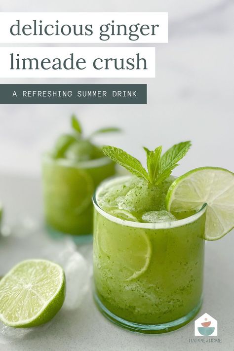 Ginger Limeade, Lime Granita, Mocktail Ideas, Granita Recipes, Water Therapy, Drink Recipes Nonalcoholic, Vegan Drinks, Japanese Water, Non Alcoholic Cocktails